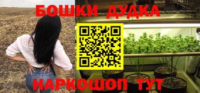 прущие грибы Моздок